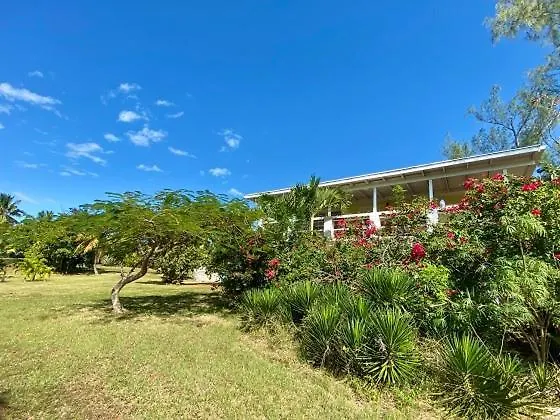 The Sunset Cove And Rainbow Room Alice Town  Bahamas